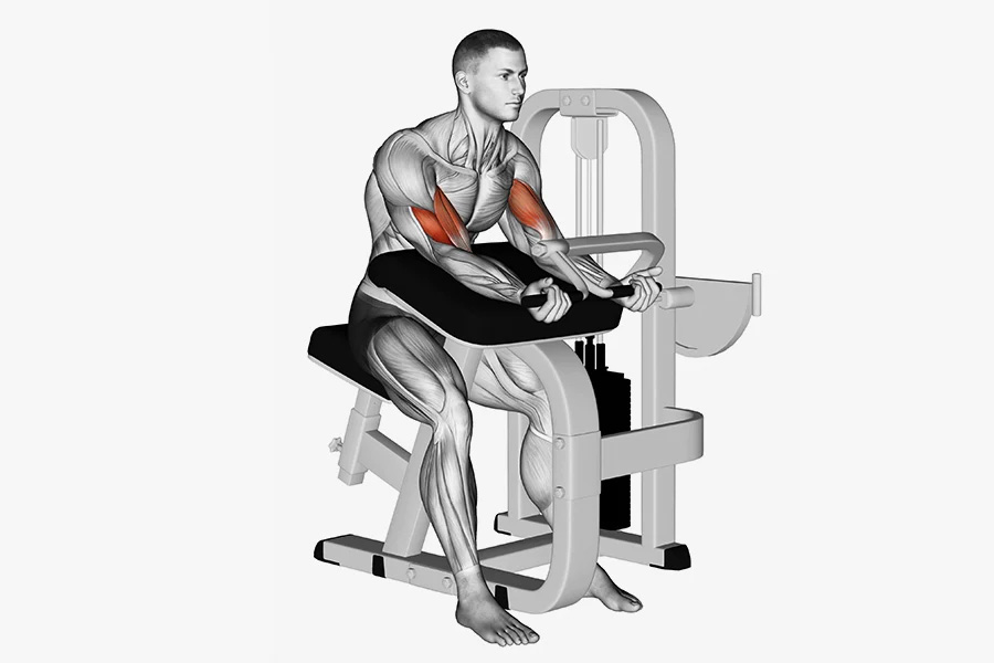 biceps-mashina-body-solid-sbc600-1
