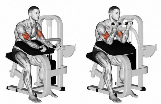 biceps-mashina-evolve-biceps-curl-ec-006-2