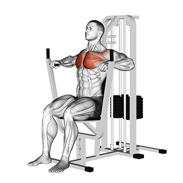 mashina-gardi-evolve-chest-press-ec-001-4