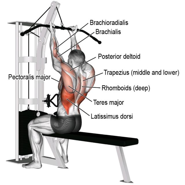 mashina-grab-evolve-lat-pull-down-ec-011-4