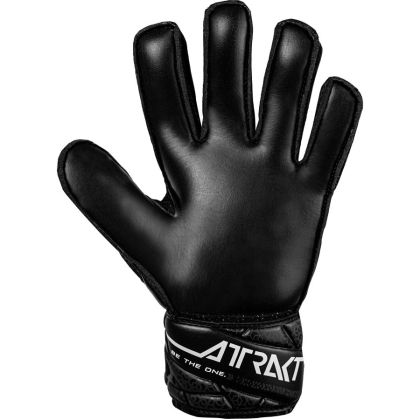 product_12278