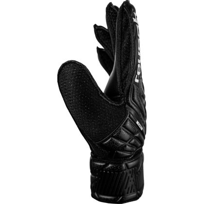 product_12279