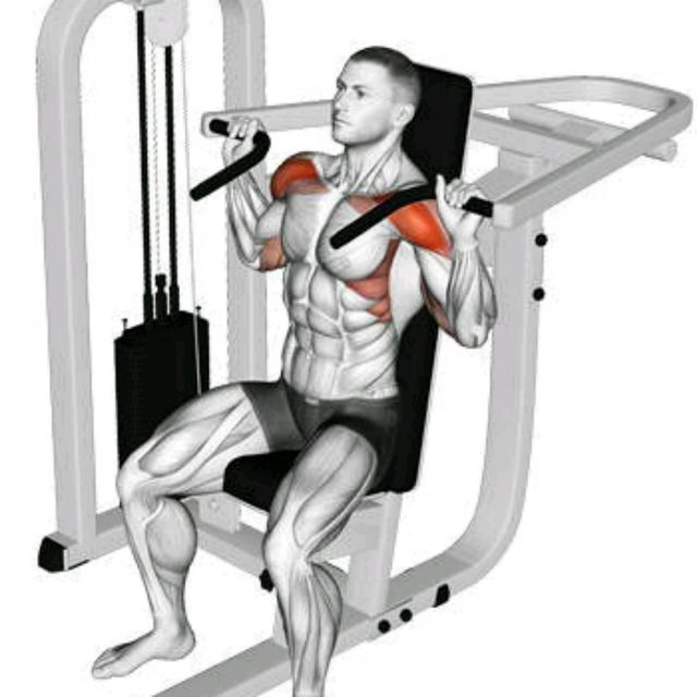 ramenna-presa-evolve-shoulder-press-ec-004-3