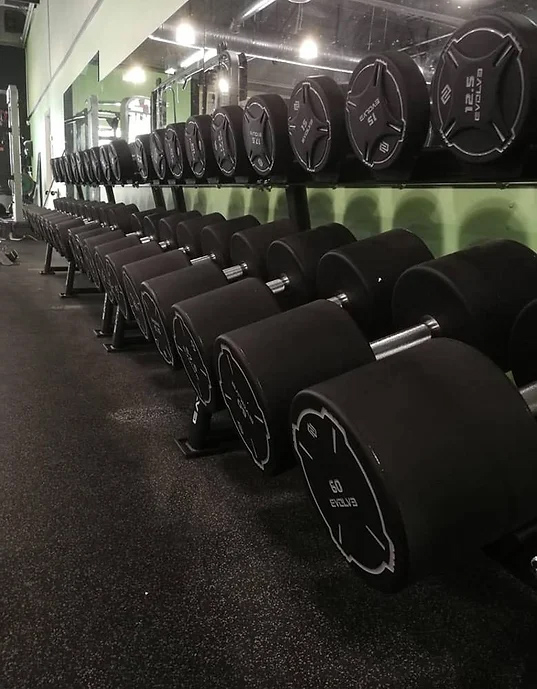 stoyka-dambeli-evolve-dumbbell-rack-4