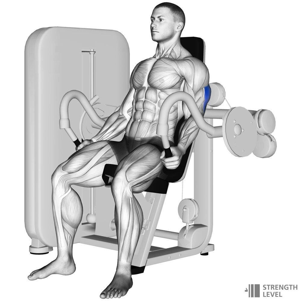triceps-mashina-evolve-triceps-press-ec-007-1