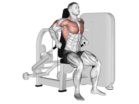 triceps-mashina-evolve-triceps-press-ec-007-2