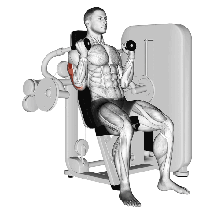 triceps-mashina-evolve-triceps-press-ec-007-3
